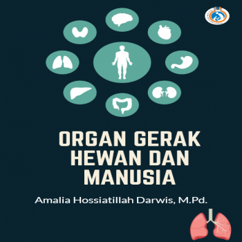 Organ Gerak Hewan dan Manusia